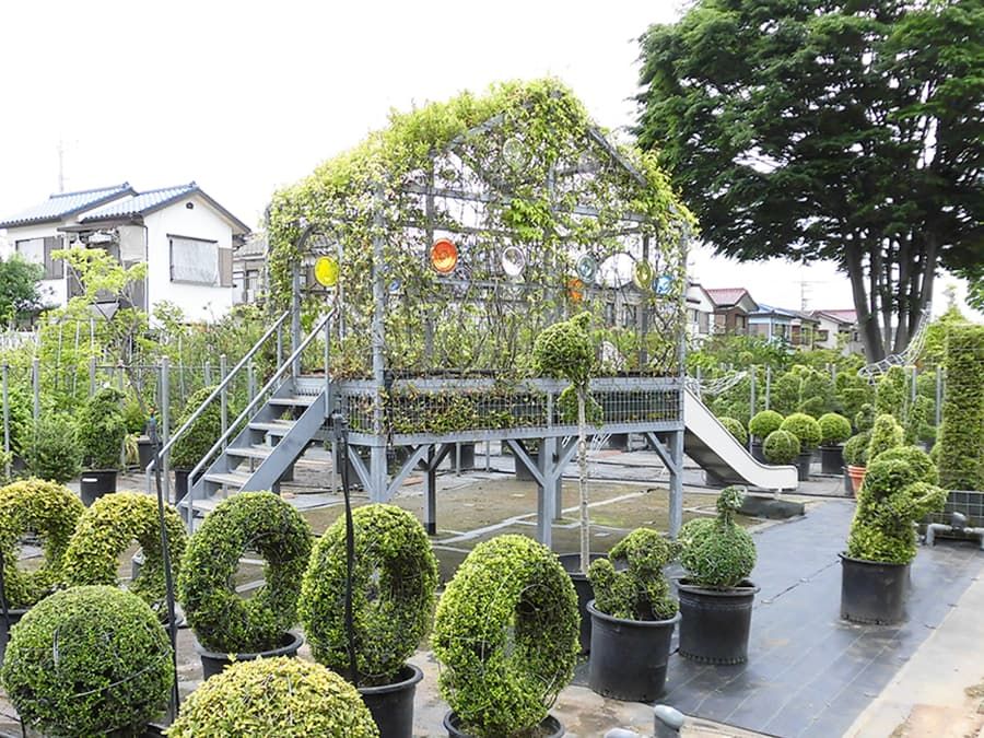 採用6