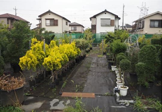 生産