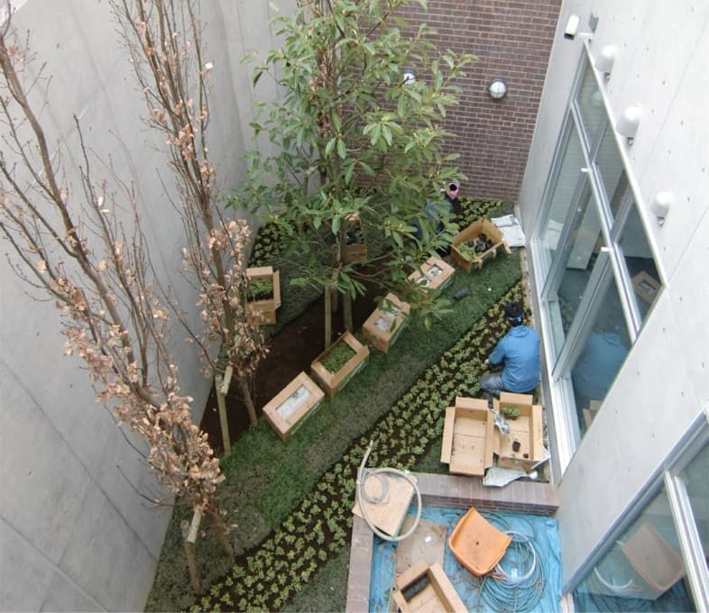 庭園施工現場