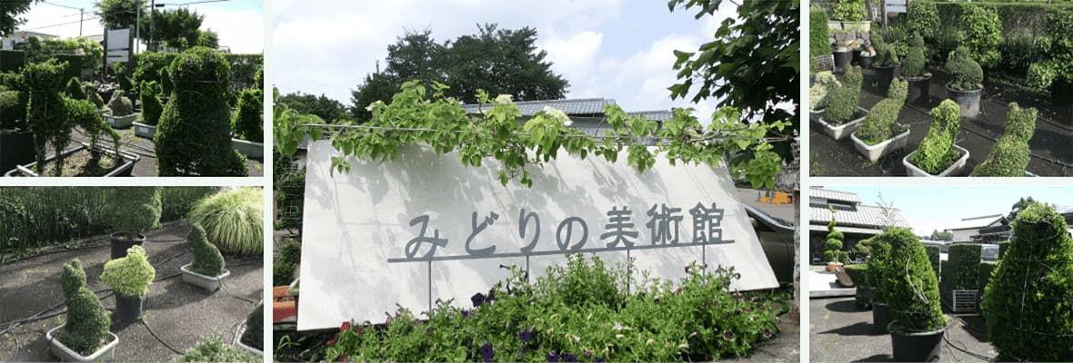みどりの美術館